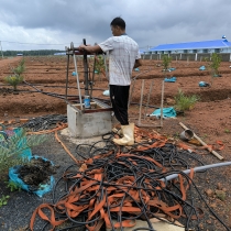 Lây bơm kẹt tại trại heo ở huyện Đồng Phú Bình Phước